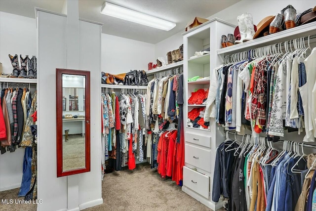 spacious closet with light carpet