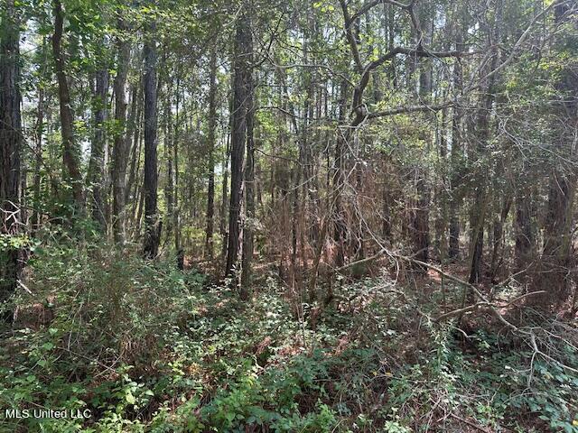 0 Duke St, Pass Christian, MS 39571