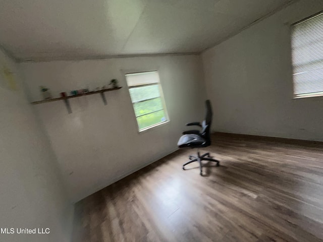 99 SW Railroad Rd, Roxie, MS 39661 - unfurnished office featuring wood finished floors and vaulted ceiling
