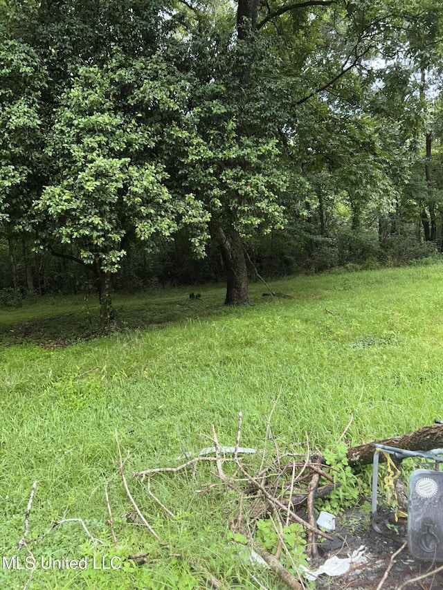 99 SW Railroad Rd, Roxie, MS 39661 - view of yard