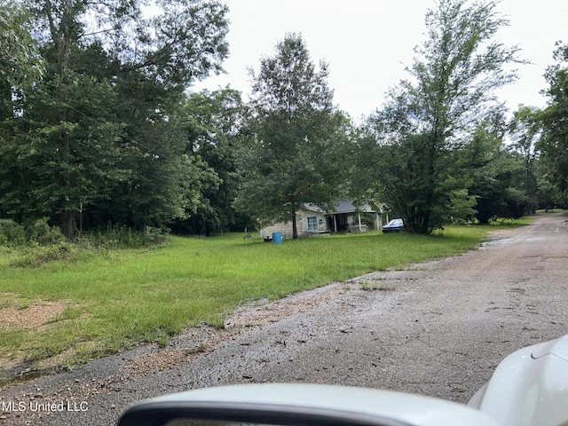 99 SW Railroad Rd, Roxie, MS 39661 - view of yard
