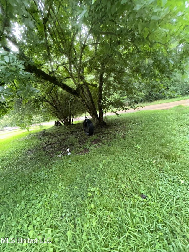 99 SW Railroad Rd, Roxie, MS 39661 - view of yard