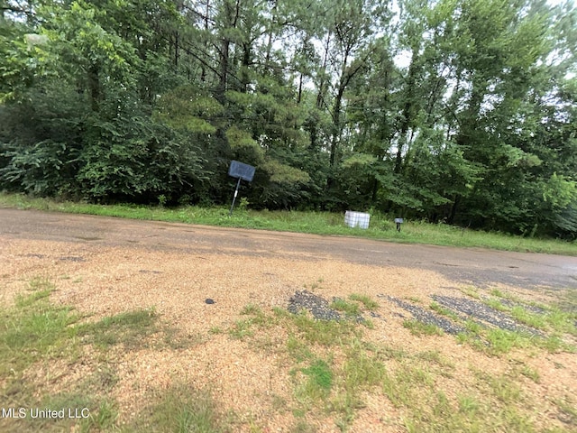 99 SW Railroad Rd, Roxie, MS 39661 - view of yard