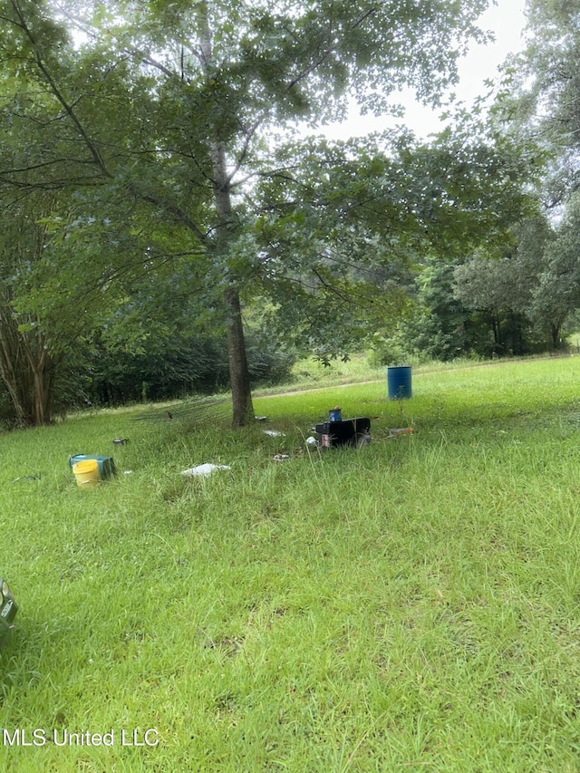99 SW Railroad Rd, Roxie, MS 39661 - view of yard