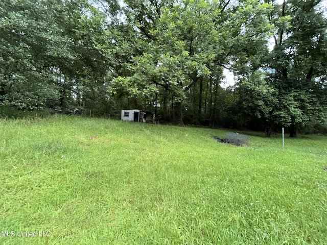 99 SW Railroad Rd, Roxie, MS 39661 - view of yard with a shed