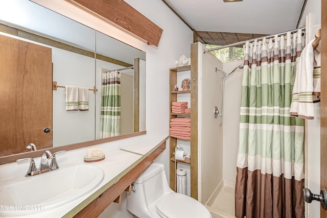 bathroom with toilet, lofted ceiling, curtained shower, and sink