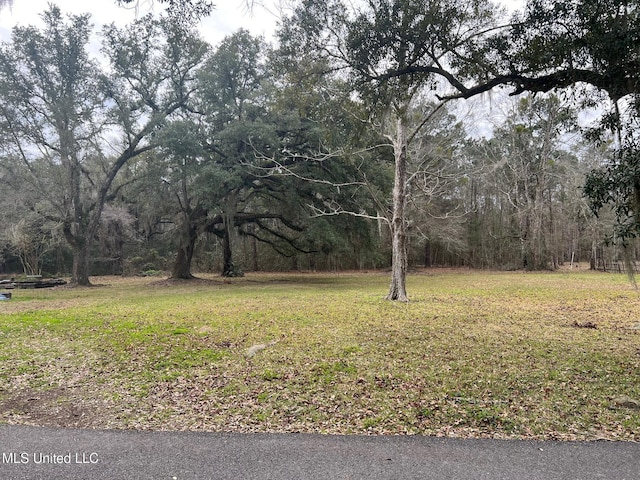 10145 Farve Ln, Bay Saint Louis MS, 39520 land for sale