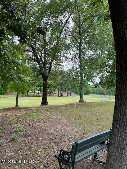 211 Fairway Trace Dr, Hernando, MS 38632 - view of property's community featuring a yard