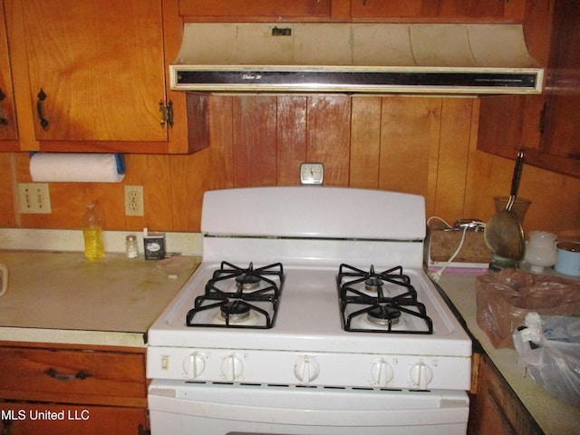 kitchen featuring gas range gas stove and ventilation hood