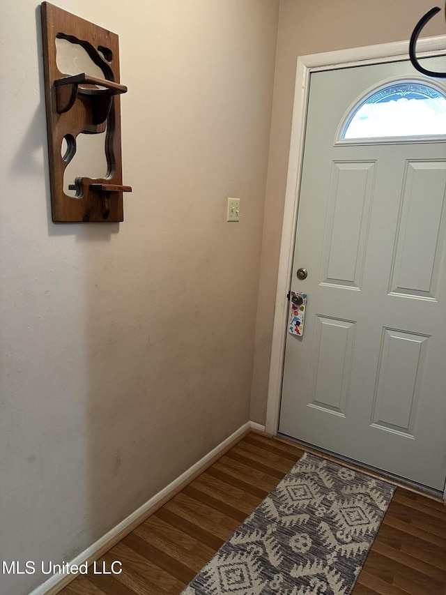 entrance foyer with dark hardwood / wood-style flooring