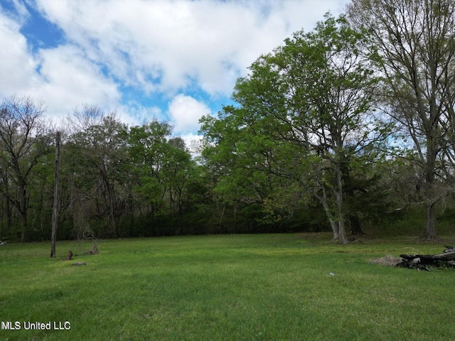 3573 N Liberty St, Canton MS, 39046 land for sale