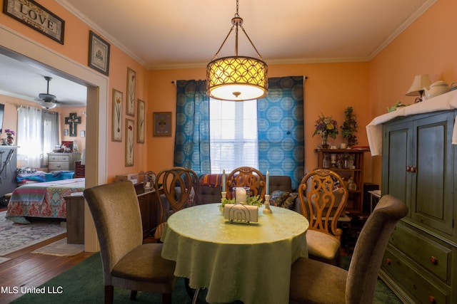 dining room featuring ceiling fan, wood finished floors, and crown molding