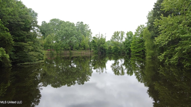 2065 Prichard Rd, Coldwater, MS 38618