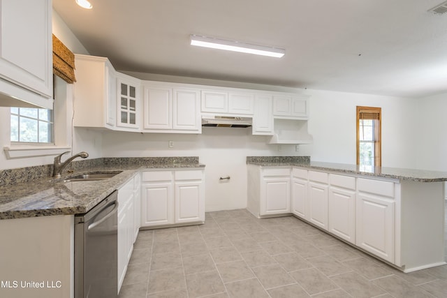 16601 Mcgregor Rd, Vancleave, MS 39565 - kitchen featuring a sink, dishwasher, under cabinet range hood, and light stone counters