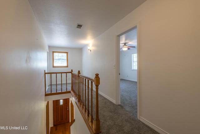 hallway with carpet floors