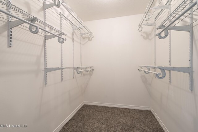 16601 Mcgregor Rd, Vancleave, MS 39565 - walk in closet featuring carpet flooring