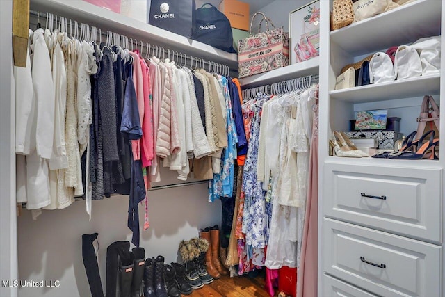 1235 Cutter Ln, Brandon, MS 39047 - view of spacious closet