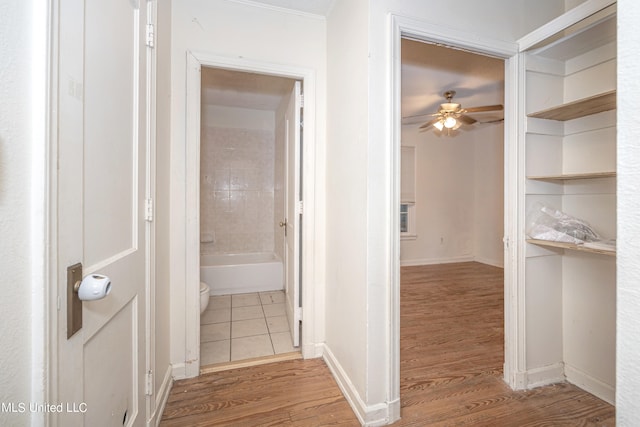 corridor with wood-type flooring