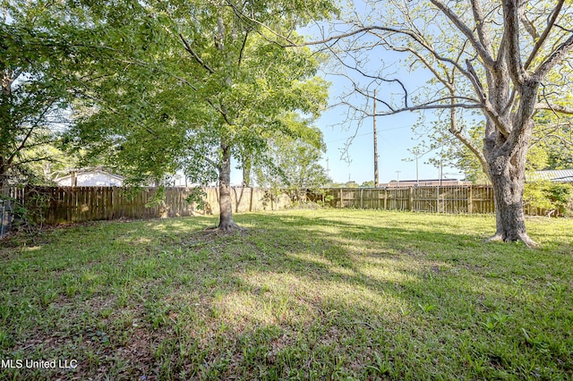 2411 12th St, Pascagoula, MS 39567 - view of fenced backyard