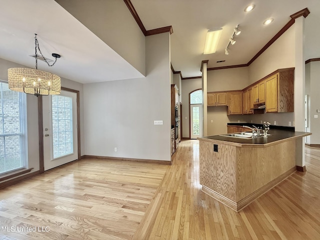 110 Frye Rd, Hattiesburg, MS 39401 - kitchen with a sink, light wood-style floors, ornamental molding, dark countertops, and a peninsula