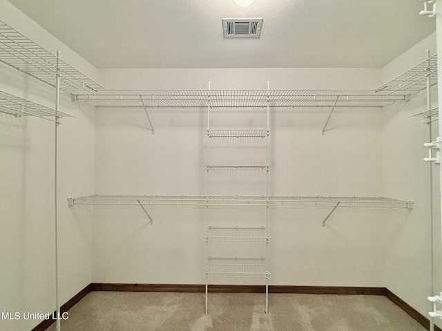 110 Frye Rd, Hattiesburg, MS 39401 - view of walk in closet