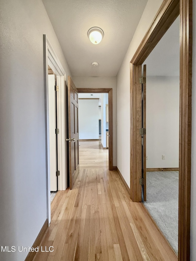 110 Frye Rd, Hattiesburg, MS 39401 - corridor with light wood finished floors, baseboards, and a textured ceiling