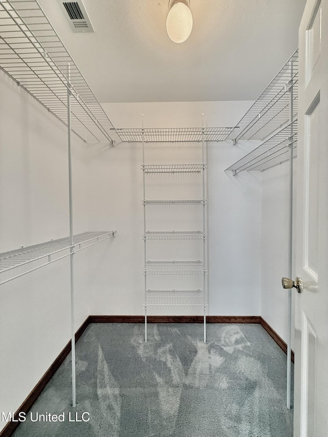 110 Frye Rd, Hattiesburg, MS 39401 - walk in closet with carpet flooring