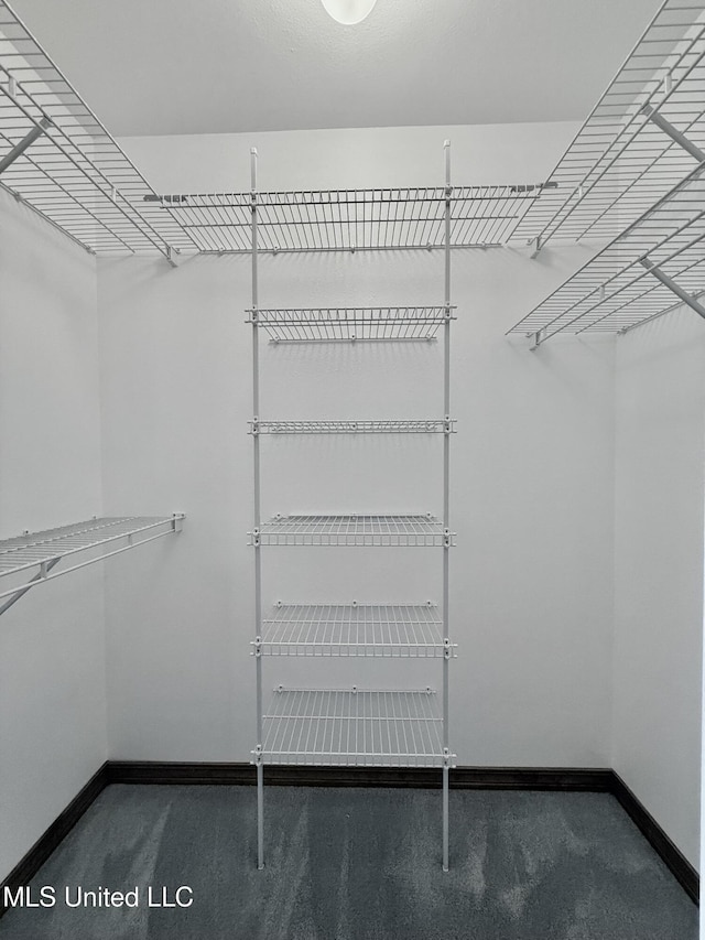 110 Frye Rd, Hattiesburg, MS 39401 - spacious closet with carpet