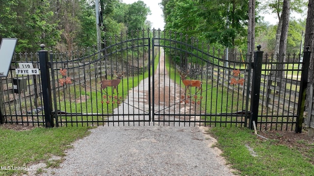 110 Frye Rd, Hattiesburg, MS 39401 - view of gate
