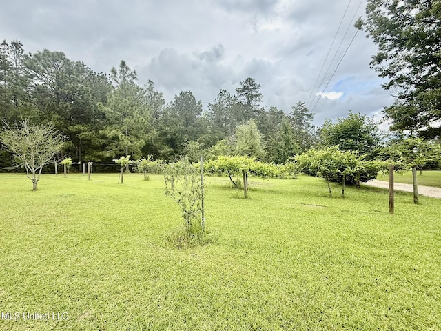 110 Frye Rd, Hattiesburg, MS 39401 - view of green lawn