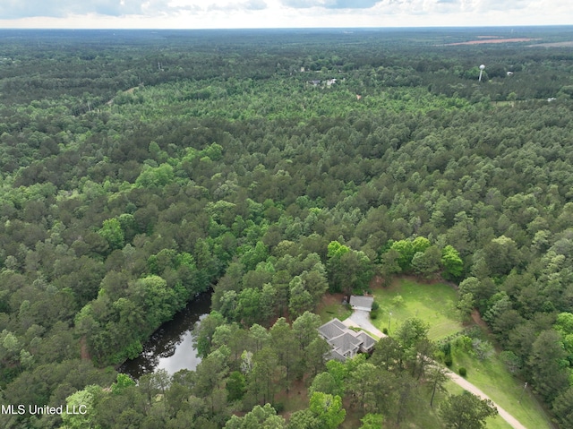 110 Frye Rd, Hattiesburg, MS 39401 - aerial view of property and surrounding area with a heavily wooded area