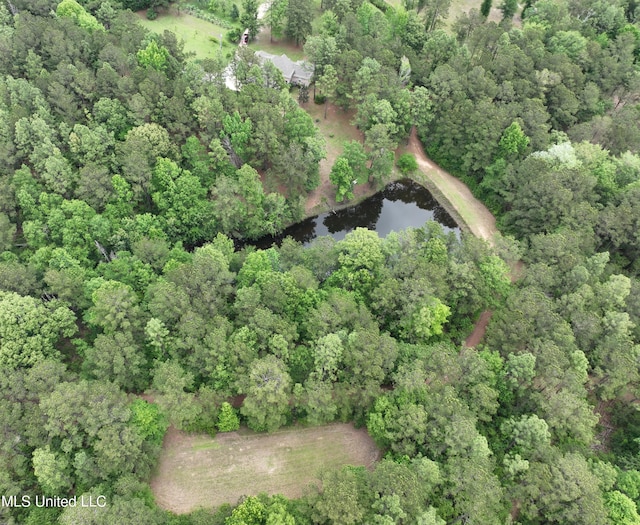110 Frye Rd, Hattiesburg, MS 39401 - aerial view of property's location with a large body of water and a forest