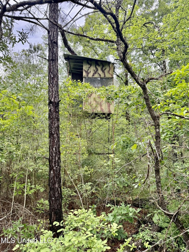 110 Frye Rd, Hattiesburg, MS 39401 - view of tree filled area