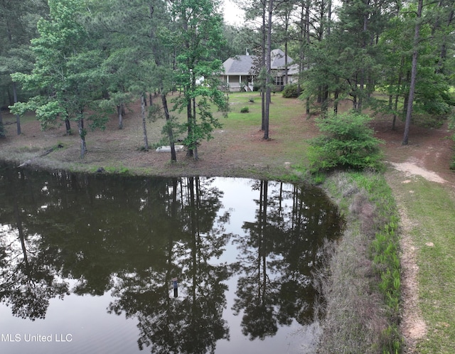 110 Frye Rd, Hattiesburg, MS 39401 - view of yard featuring a water view