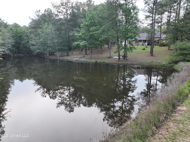 110 Frye Rd, Hattiesburg, MS 39401 - water view