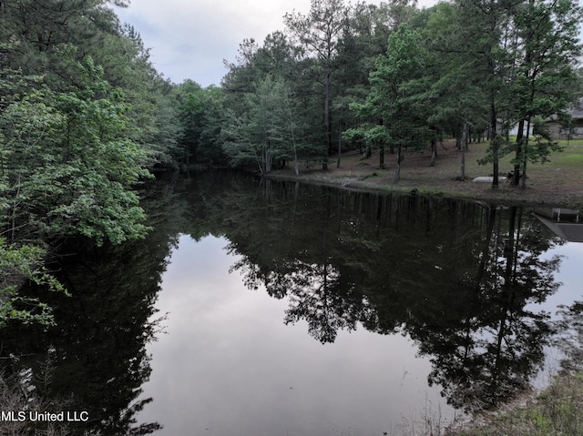 110 Frye Rd, Hattiesburg, MS 39401 - water view featuring a forest