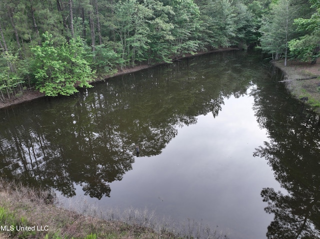 110 Frye Rd, Hattiesburg, MS 39401 - water view with a heavily wooded area