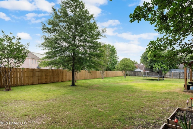 view of yard with a fenced backyard and a trampoline
