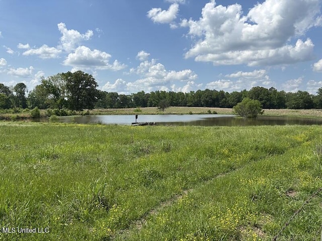 9053 Castalian Springs Rd, Durant, MS 39063 - view of yard featuring a water view