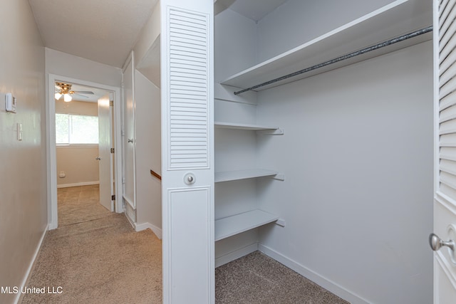 828 Briarwood Dr, Jackson, MS 39211 - view of closet