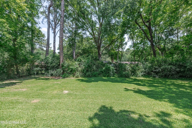 828 Briarwood Dr, Jackson, MS 39211 - view of grassy yard