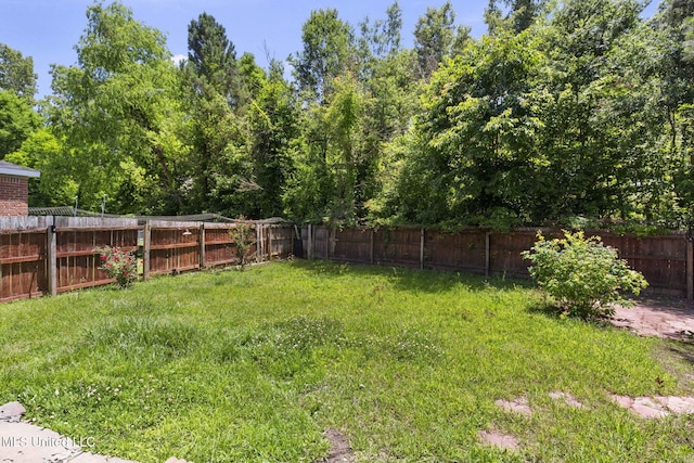 1914 Twin Pine Dr, Pearl, MS 39208 - view of yard