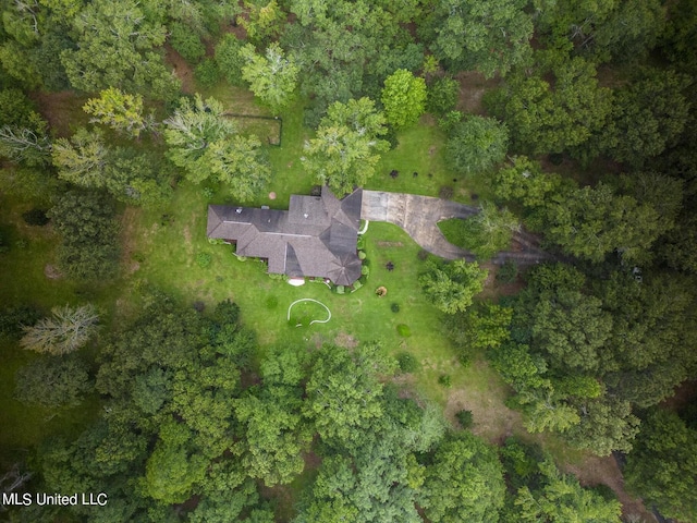 bird's eye view
