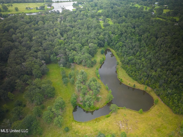 birds eye view of property with a water view and a forest view