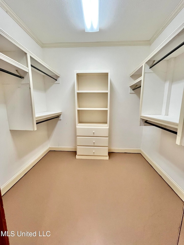 walk in closet with carpet flooring