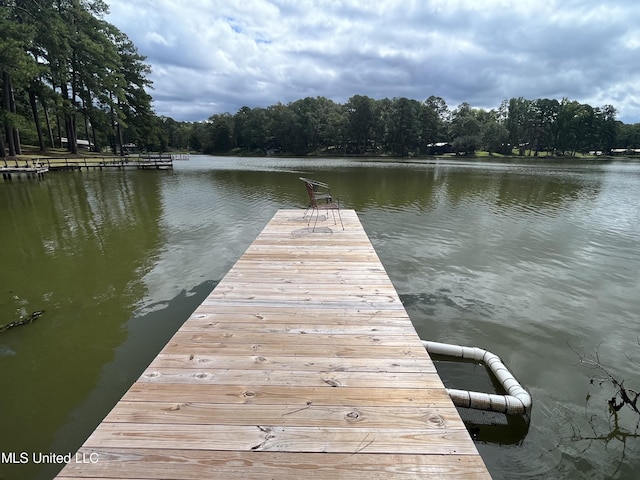 view of dock with a water view