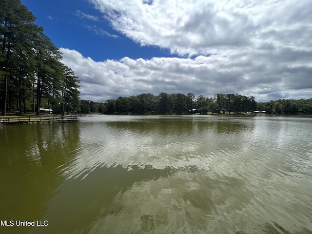 water view