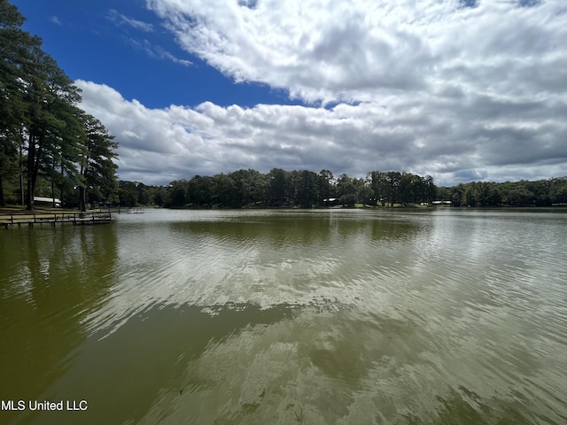 water view