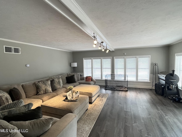 living room featuring crown molding, a textured ceiling, dark wood-type flooring, and a wealth of natural light