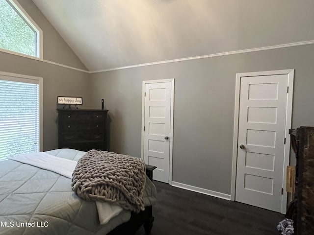 bedroom featuring vaulted ceiling and dark hardwood / wood-style flooring